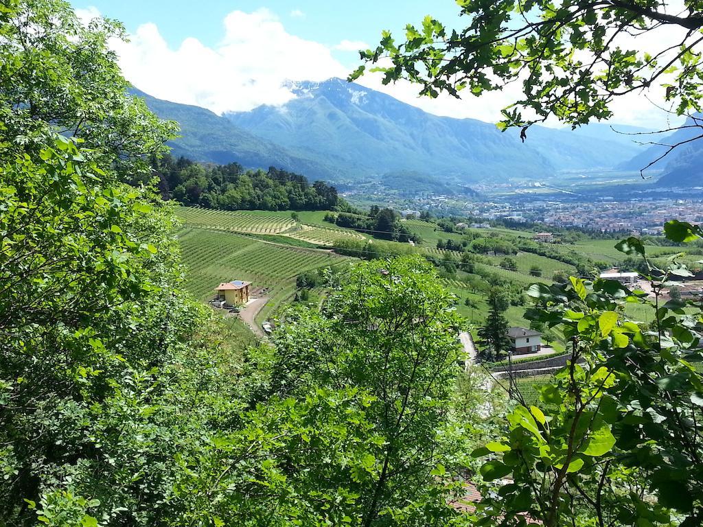 Agritur Al Vigneto Bed & Breakfast Trento Exterior photo