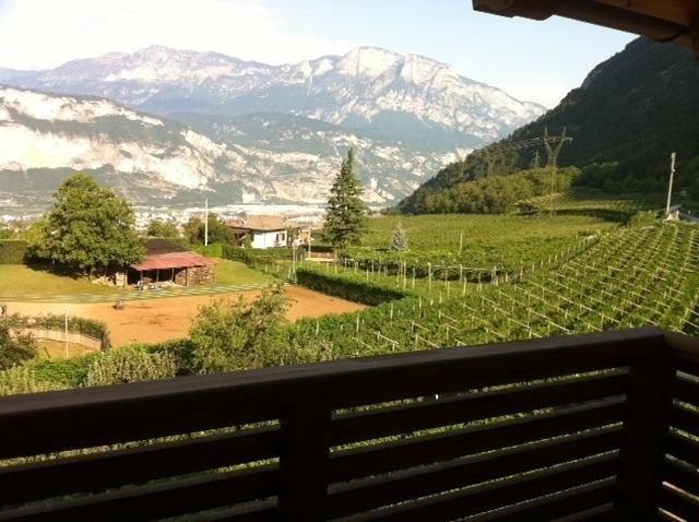 Agritur Al Vigneto Bed & Breakfast Trento Exterior photo